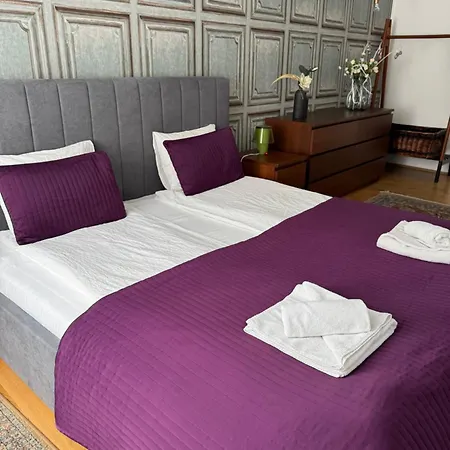 Your Gorgeous And Spacious Dream Free Parking Appartamento Budapest
